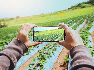 SEO効果を最大化するブログを設定 SEO効果を最大化するブログを設定